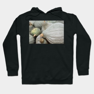 Grey pumpkins Hoodie